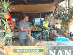 Babinsa Komsos Bersama Penjual Nanas, Tingkatkan Nilai Jual Hasil Perkebunan Masyarakat